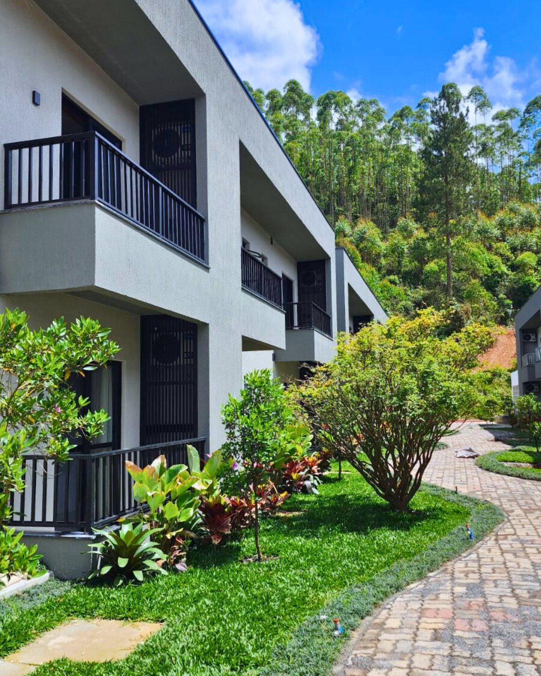 Área verde com mata