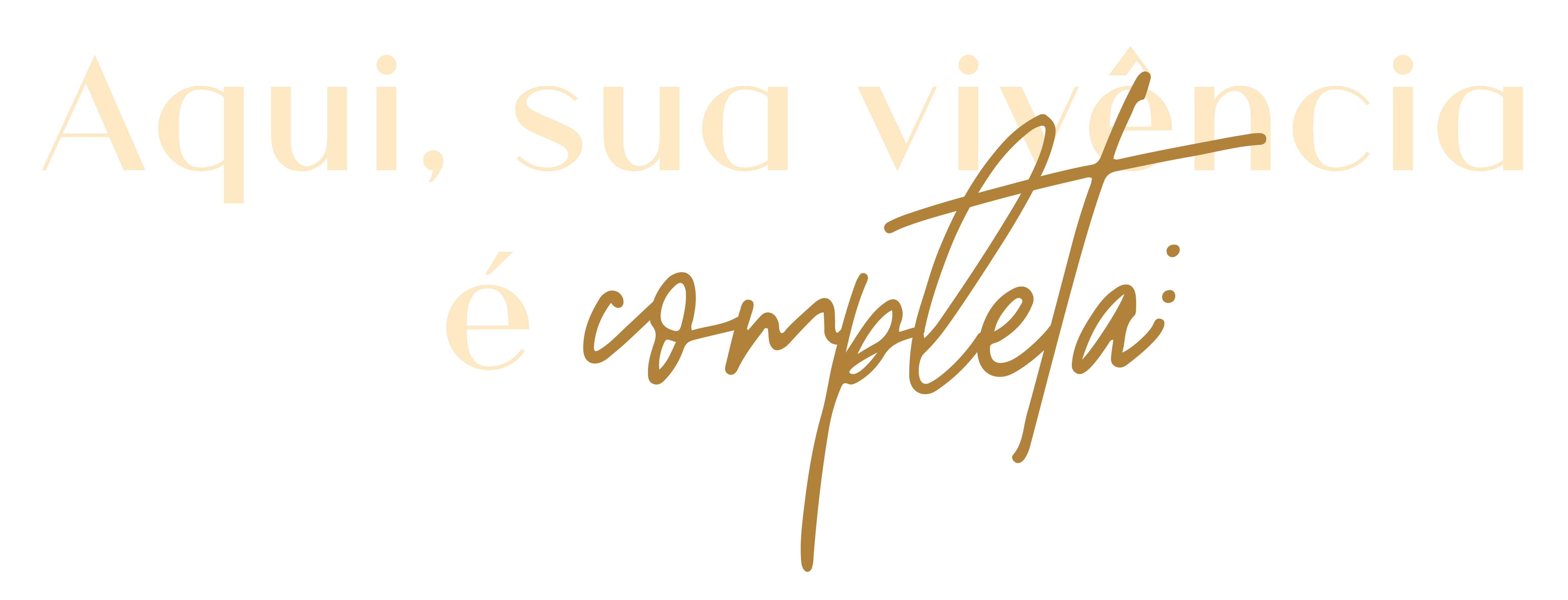 Vivência completa