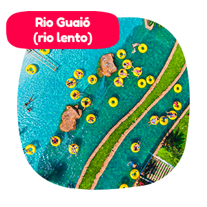 Rio Rio