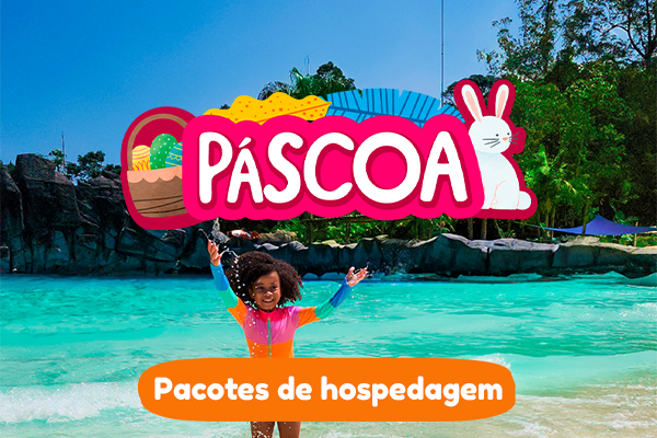 Pousada Eko Suítes - .Apto Eko Suítes (Container Ecológico).