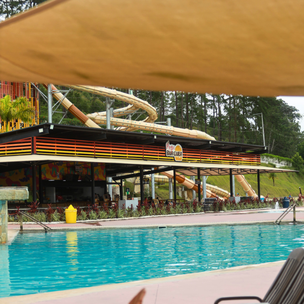 Saiba mais: Alimentação no Magic City